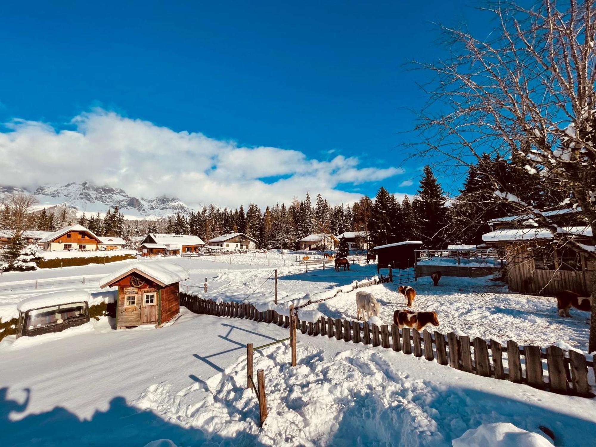 Pension Vorberghof- Bauernhofurlaub Ramsau am Dachstein Kültér fotó