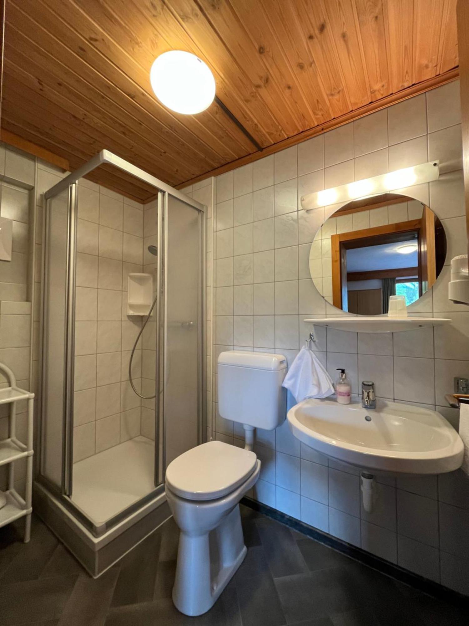 Pension Vorberghof- Bauernhofurlaub Ramsau am Dachstein Kültér fotó