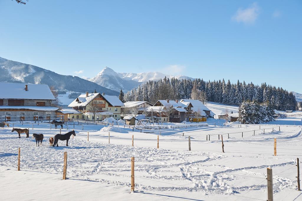 Pension Vorberghof- Bauernhofurlaub Ramsau am Dachstein Kültér fotó