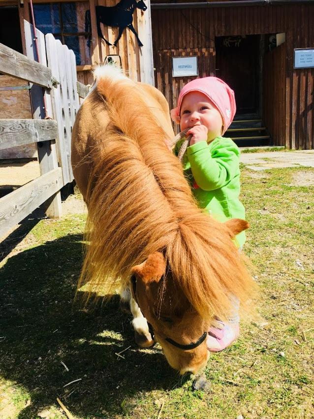 Pension Vorberghof- Bauernhofurlaub Ramsau am Dachstein Kültér fotó